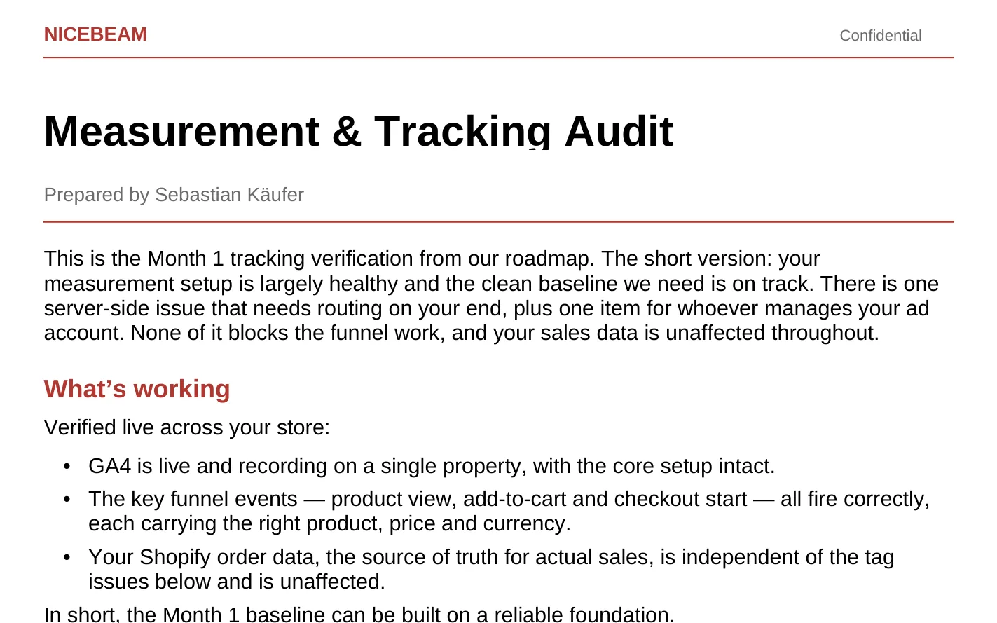Excerpt of the delivered Measurement & Tracking Audit, Month 1 read-out